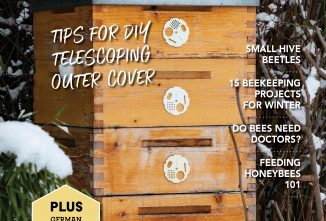 Backyard Beekeeping Winter 2022-2023